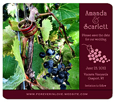 Wine Country Vineyard Save the Date