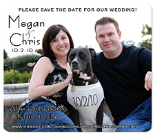 Dog Save the Date