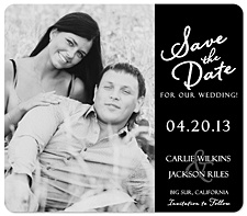 Pallm Tree Save the Date Magnet