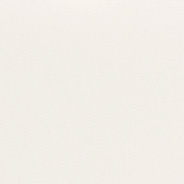pc 100 ecru color swatch