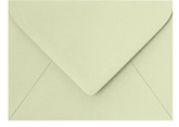 Sage Envelope