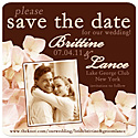 "Chocolate & Ivory" Hydrangea Save the Date Magnet