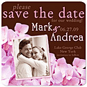 "Chocolate & Pink" Hydrangea Save the Date Magnet